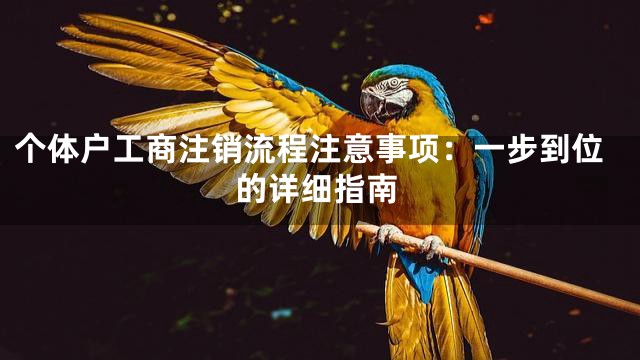 个体户工商注销流程注意事项：一步到位的详细指南