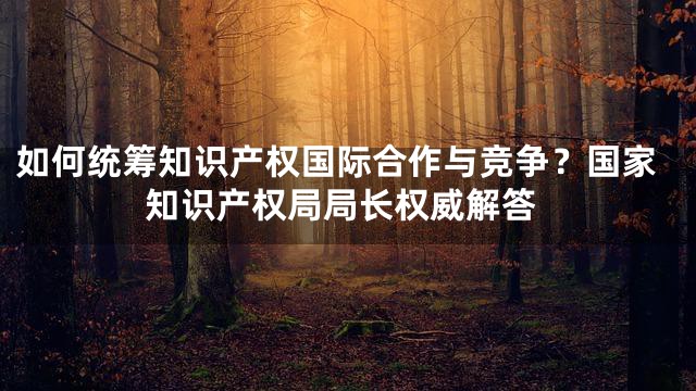 如何统筹知识产权国际合作与竞争？国家知识产权局局长权威解答