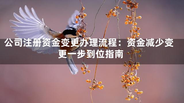 公司注册资金变更办理流程：资金减少变更一步到位指南