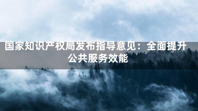 国家知识产权局发布指导意见：全面提升公共服务效能