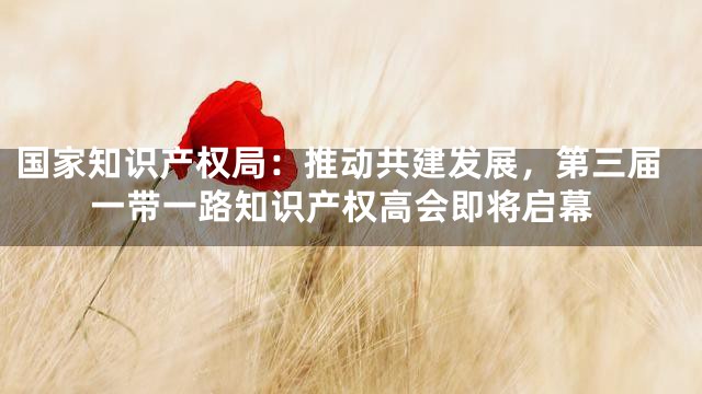 国家知识产权局：推动共建发展，第三届一带一路知识产权高会即将启幕