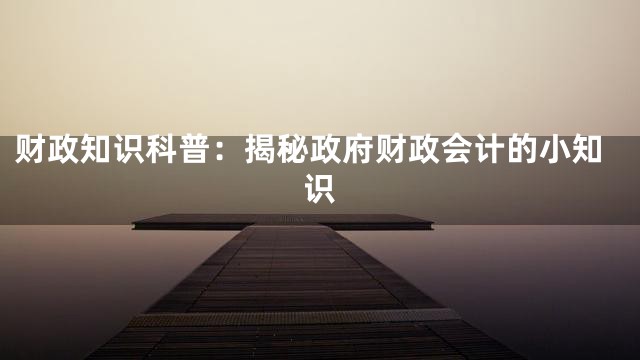 财政知识科普：揭秘政府财政会计的小知识