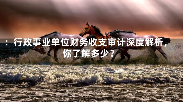 ：行政事业单位财务收支审计深度解析，你了解多少？