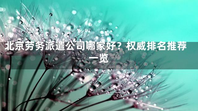 北京劳务派遣公司哪家好？权威排名推荐一览