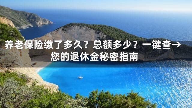 养老保险缴了多久？总额多少？一键查→您的退休金秘密指南