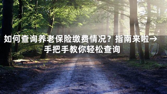 如何查询养老保险缴费情况？指南来啦→手把手教你轻松查询