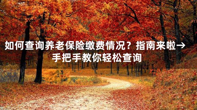 如何查询养老保险缴费情况？指南来啦→手把手教你轻松查询