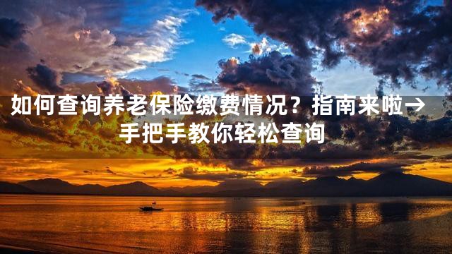 如何查询养老保险缴费情况？指南来啦→手把手教你轻松查询