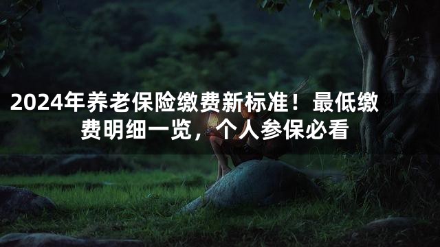 2024年养老保险缴费新标准！最低缴费明细一览，个人参保必看