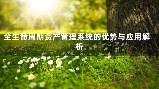 全生命周期资产管理系统的优势与应用解析
