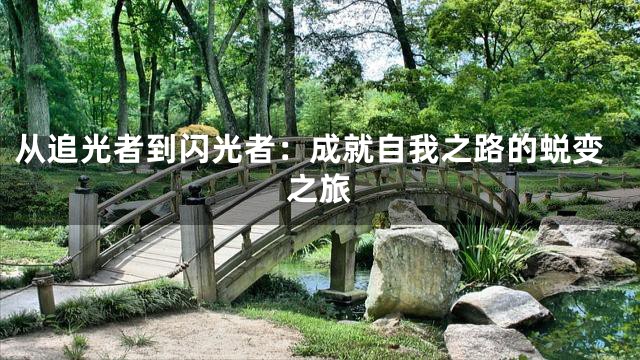 从追光者到闪光者：成就自我之路的蜕变之旅