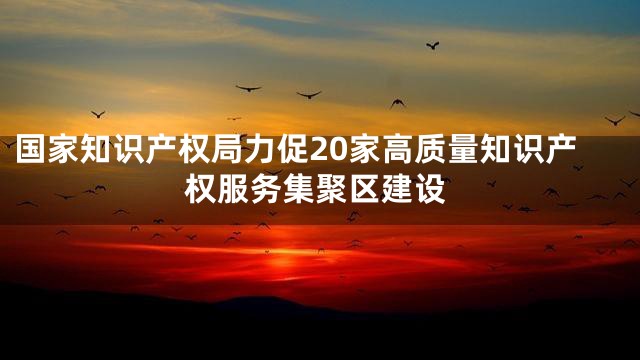国家知识产权局力促20家高质量知识产权服务集聚区建设