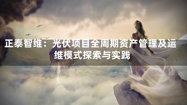 正泰智维：光伏项目全周期资产管理及运维模式探索与实践