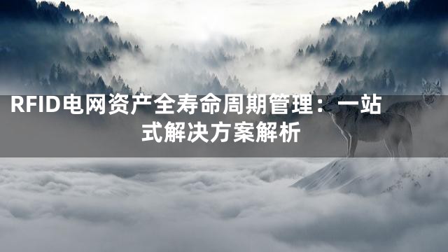 RFID电网资产全寿命周期管理：一站式解决方案解析