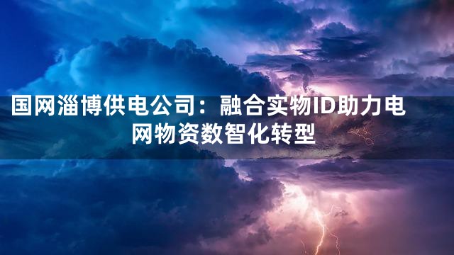国网淄博供电公司：融合实物ID助力电网物资数智化转型