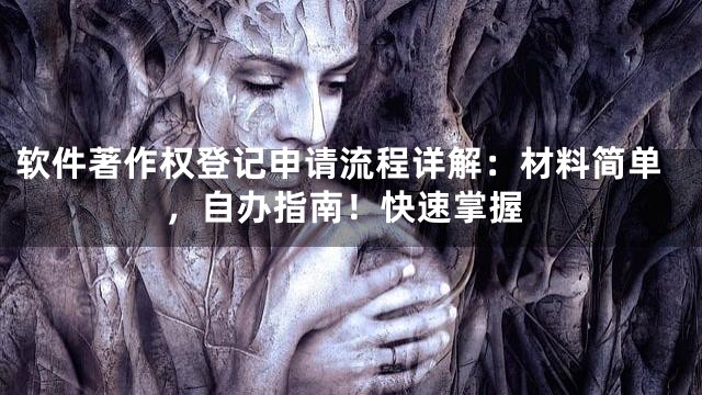 软件著作权登记申请流程详解：材料简单，自办指南！快速掌握