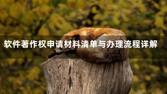 软件著作权申请材料清单与办理流程详解