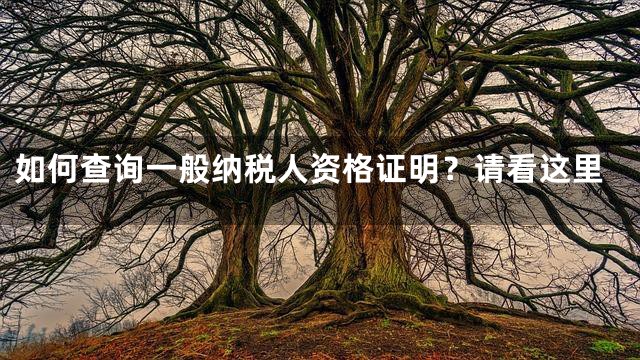 如何查询一般纳税人资格证明？请看这里