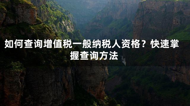 如何查询增值税一般纳税人资格？快速掌握查询方法