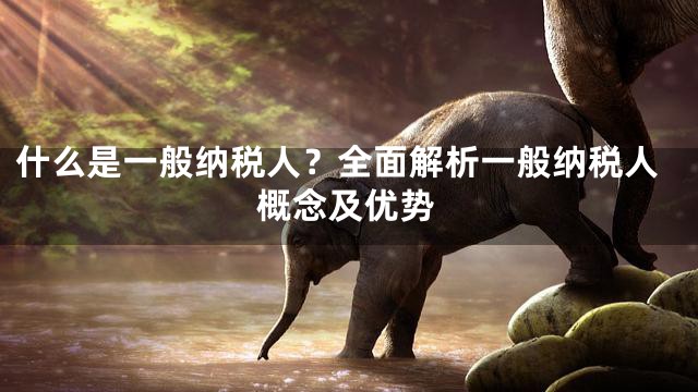 什么是一般纳税人？全面解析一般纳税人概念及优势