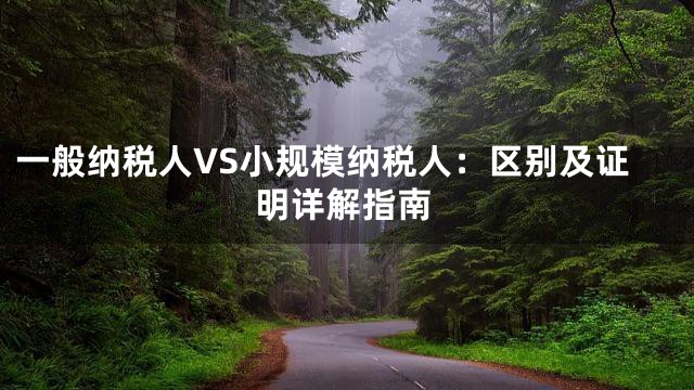 一般纳税人VS小规模纳税人：区别及证明详解指南