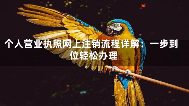 个人营业执照网上注销流程详解：一步到位轻松办理