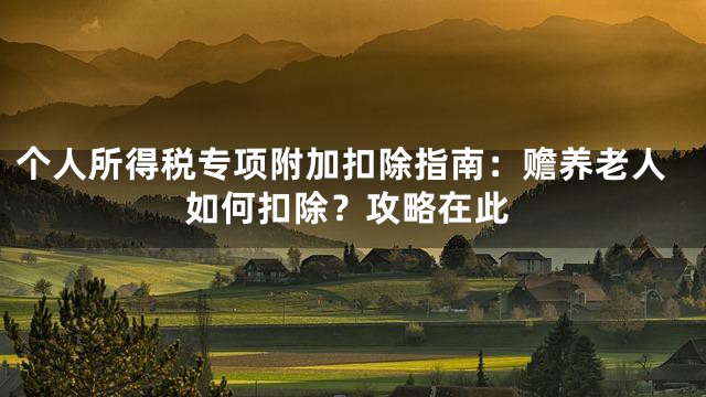 个人所得税专项附加扣除指南：赡养老人如何扣除？攻略在此