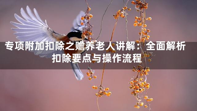 专项附加扣除之赡养老人讲解：全面解析扣除要点与操作流程