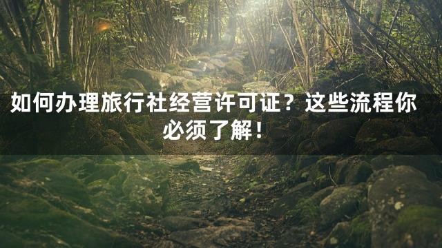 如何办理旅行社经营许可证？这些流程你必须了解！