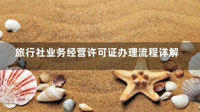 旅行社业务经营许可证办理流程详解