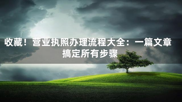 收藏！营业执照办理流程大全：一篇文章搞定所有步骤