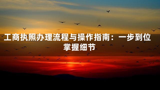 工商执照办理流程与操作指南：一步到位掌握细节