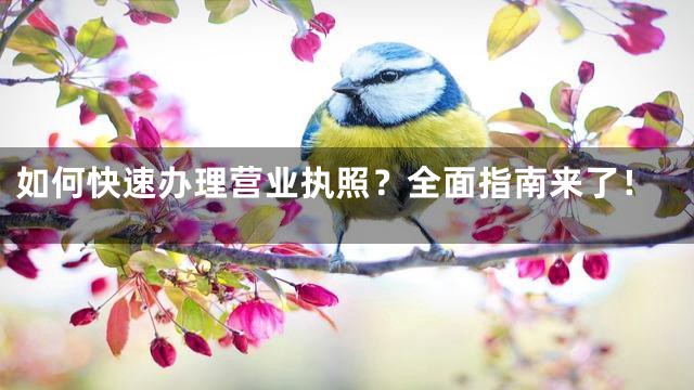 如何快速办理营业执照？全面指南来了！