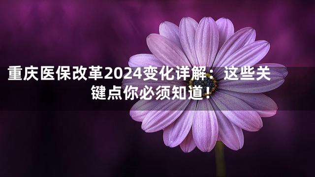 重庆医保改革2024变化详解：这些关键点你必须知道！