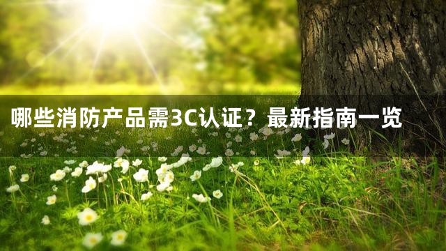 哪些消防产品需3C认证？最新指南一览