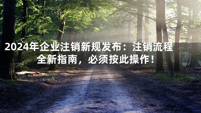 2024年企业注销新规发布：注销流程全新指南，必须按此操作！