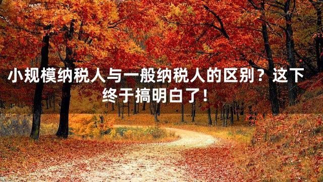 小规模纳税人与一般纳税人的区别？这下终于搞明白了！