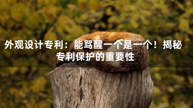 外观设计专利：能骂醒一个是一个！揭秘专利保护的重要性