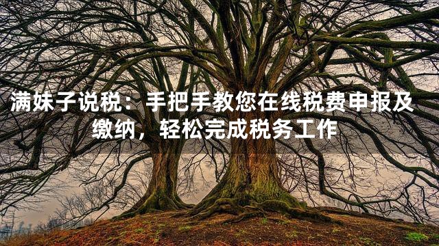 满妹子说税：手把手教您在线税费申报及缴纳，轻松完成税务工作
