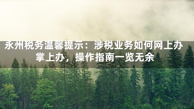 永州税务温馨提示：涉税业务如何网上办掌上办，操作指南一览无余