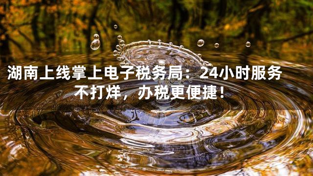 湖南上线掌上电子税务局：24小时服务不打烊，办税更便捷！