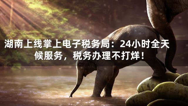 湖南上线掌上电子税务局：24小时全天候服务，税务办理不打烊！