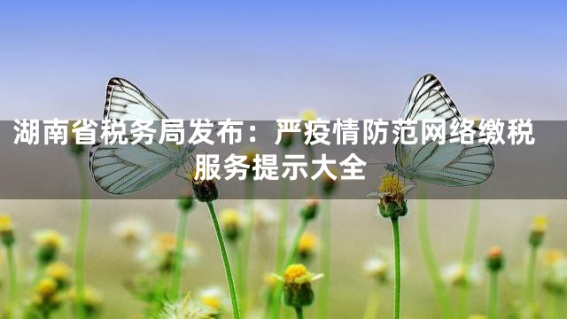 湖南省税务局发布：严疫情防范网络缴税服务提示大全
