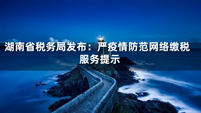 湖南省税务局发布：严疫情防范网络缴税服务提示