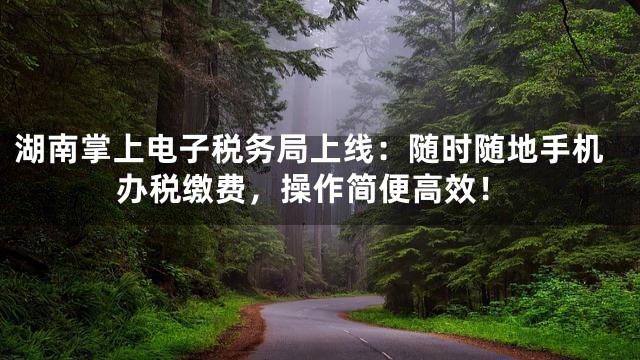 湖南掌上电子税务局上线：随时随地手机办税缴费，操作简便高效！
