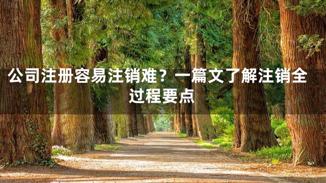 公司注册容易注销难？一篇文了解注销全过程要点