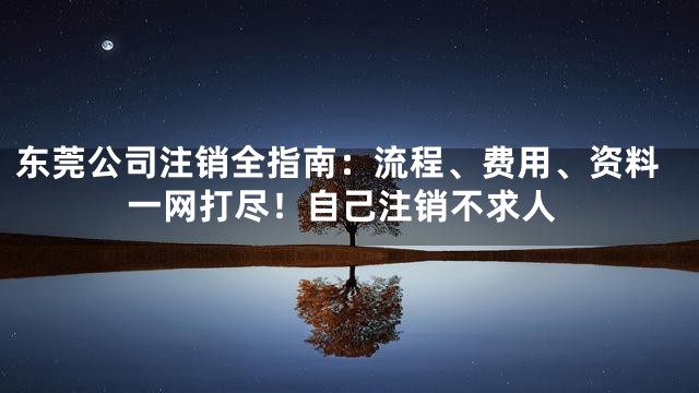 东莞公司注销全指南：流程、费用、资料一网打尽！自己注销不求人
