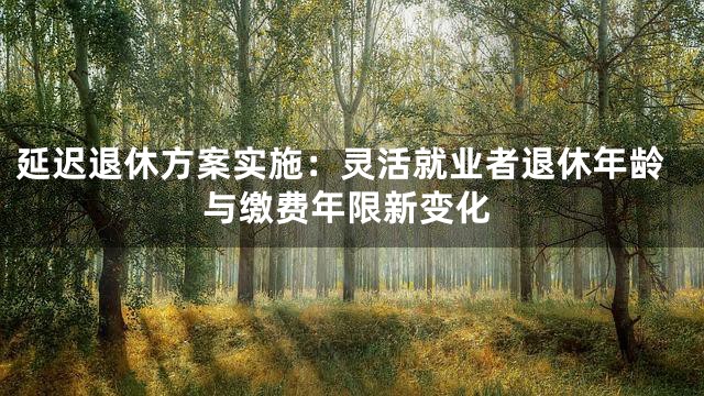 延迟退休方案实施：灵活就业者退休年龄与缴费年限新变化