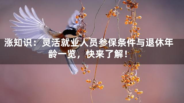涨知识：灵活就业人员参保条件与退休年龄一览，快来了解！