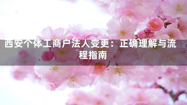 西安个体工商户法人变更：正确理解与流程指南